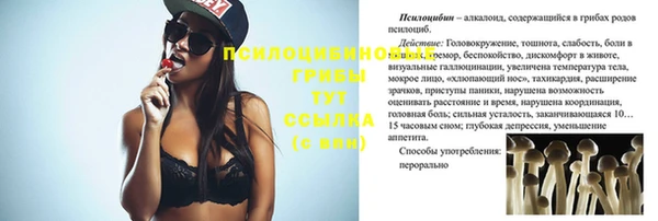 спайс Арсеньев