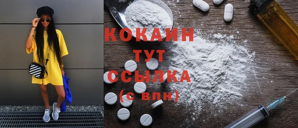 меф Няндома